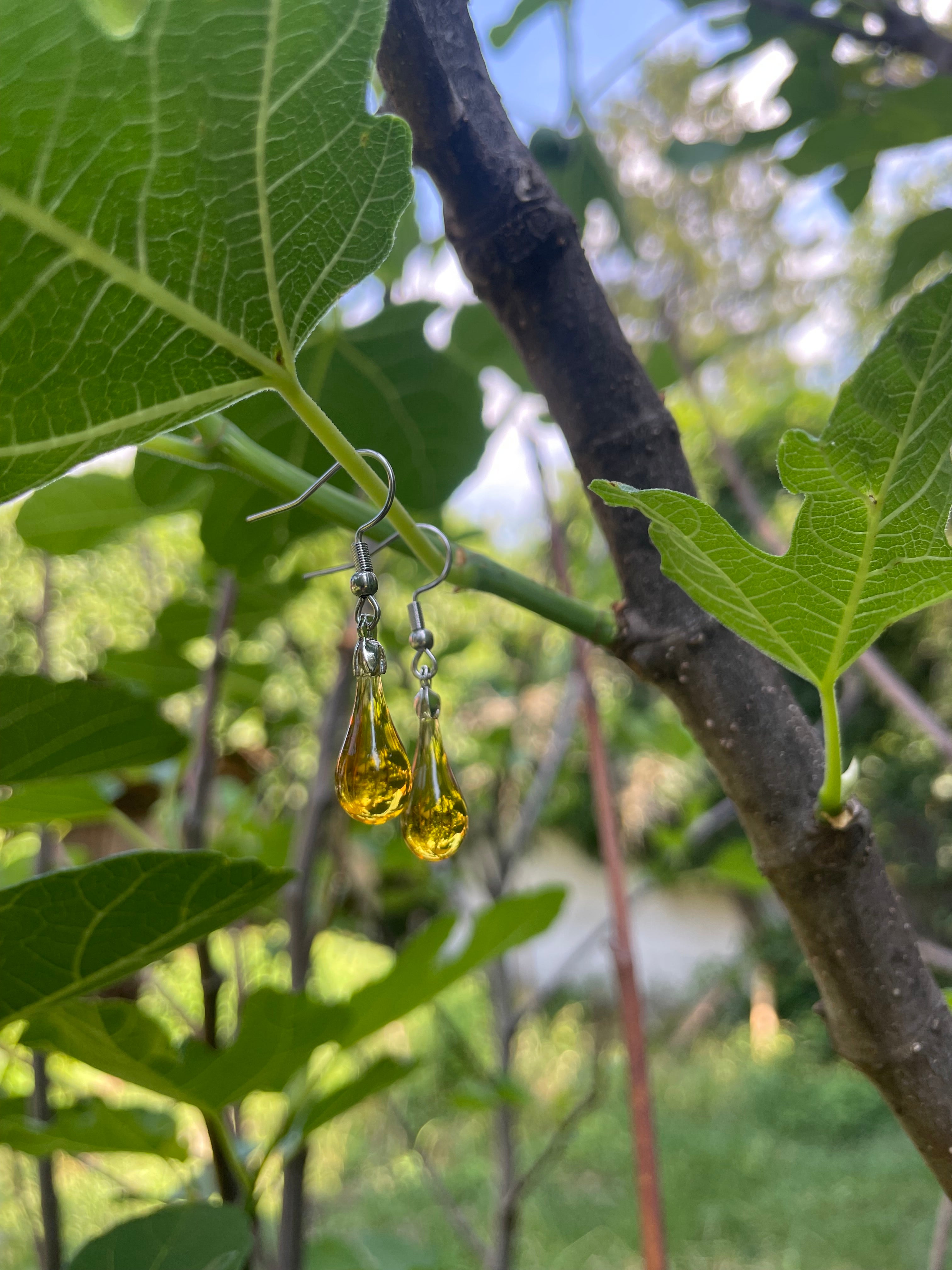 Honey Drop