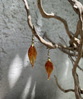 Autumn Flame Leaf